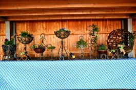 Kubi_Hoerzing_100J_Pferdezucht_180422 (25)