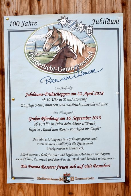 Kubi_Hoerzing_100J_Pferdezucht_180422 (37)