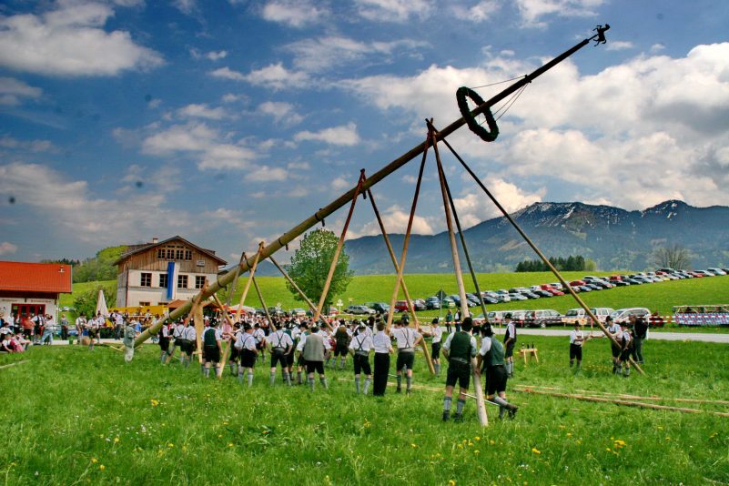 Maibaum 2008 Rossholzen