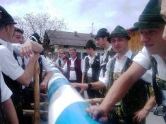 Maibaum 2010 - 2