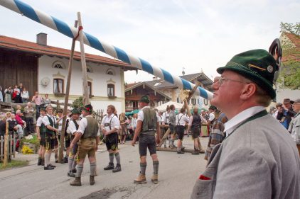 Maibaum 2010 - 5