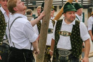 Maibaum 2010 - 6