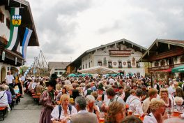 Maibaum 2010 - 9