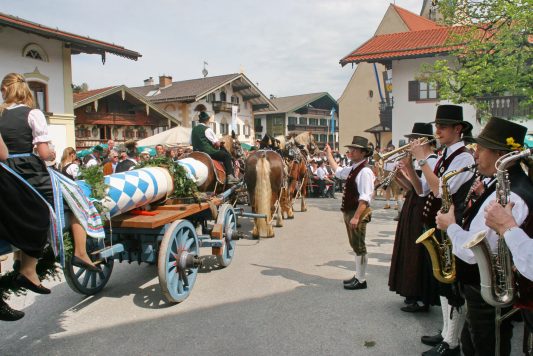 Maibaum 2010 - Einzug