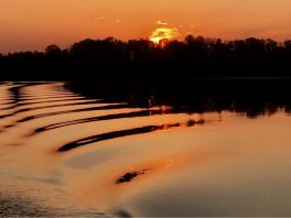 Stimmungsbilder Chiemsee (17)