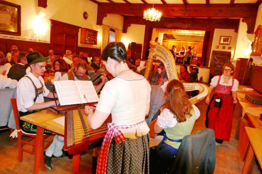 kl-Harfe bei Volksmusikwoche 2