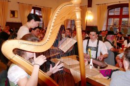 kl-Harfe bei Volksmusikwoche