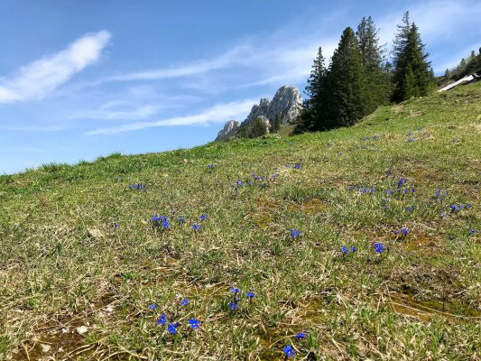 kl-Schusternagerl mit Kampenwand 2018_Foto H. Reiter (1)
