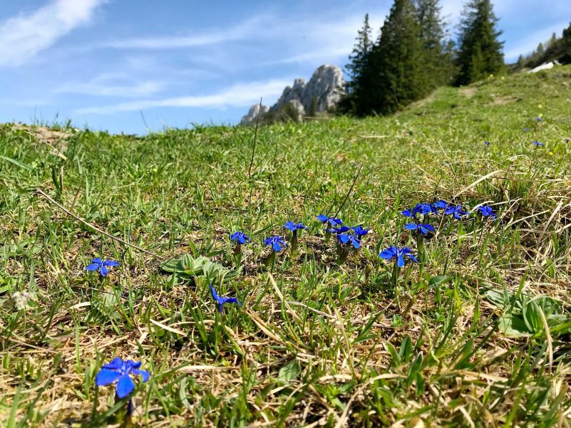 kl-Schusternagerl mit Kampenwand 2018_Foto H. Reiter (2)