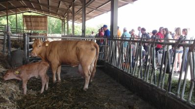 tag des offenen hofes