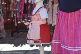 Bild Maresa Jung 2017 3