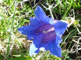 Frauenwanderung IV 23_05_2018