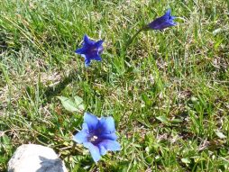 Frauenwanderung V 23_05_2018