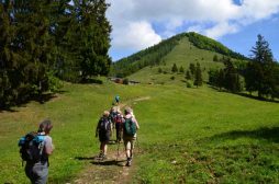 Frauenwanderung VIII