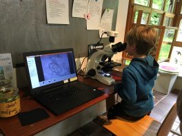 Junger Naturforscher am neuen Mikroskop des Naturpavillons