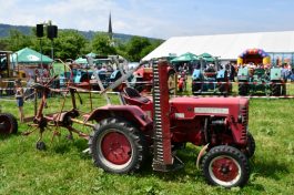 Kubi_Au_Bulldog_Oldtimer_180519 (10)