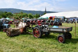 Kubi_Au_Bulldog_Oldtimer_180519 (11)