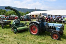 Kubi_Au_Bulldog_Oldtimer_180519 (12)