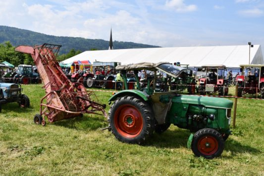 Kubi_Au_Bulldog_Oldtimer_180519 (13)