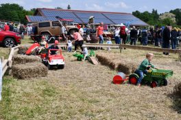 Kubi_Au_Bulldog_Oldtimer_180519 (2)