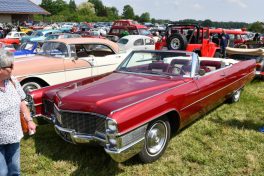 Kubi_Au_Bulldog_Oldtimer_180519 (38)