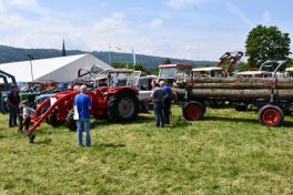 Kubi_Au_Bulldog_Oldtimer_180519 (39)