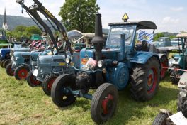 Kubi_Au_Bulldog_Oldtimer_180519 (54)