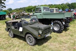 Kubi_Au_Bulldog_Oldtimer_180519 (57)