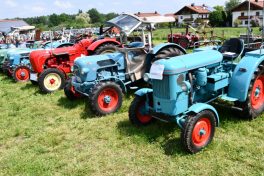 Kubi_Au_Bulldog_Oldtimer_180519 (6)