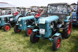 Kubi_Au_Bulldog_Oldtimer_180519 (64)