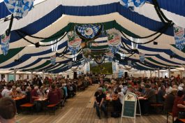 Kubi_Au_Bulldog_Oldtimer_180519 (71)