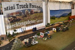 Kubi_Au_Bulldog_Oldtimer_180519 (75)