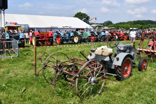 Kubi_Au_Bulldog_Oldtimer_180519 (9)