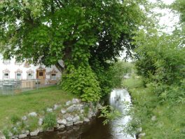 4MP859 Digital Camera