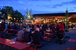 Kubi_180622_Prutting_Petersfeuer (13)