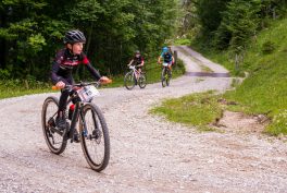 Samerberger-Gams-2018-1003539