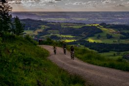 Samerberger-Gams-2018-1003791