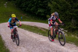 Samerberger-Gams-2018-1003941