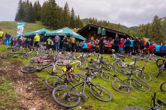 Samerberger-Gams-2018-1350837