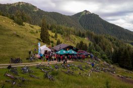 Samerberger-Gams-2018-1350868