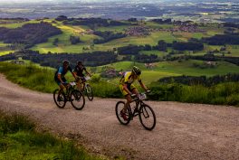 SamerbergerGams-1003799tif