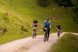 SamerbergerGams-1003989