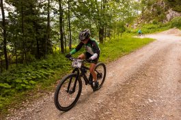 SamerbergerGams-1350481