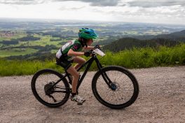 SamerbergerGams-1350492