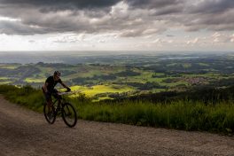 SamerbergerGams-1350681