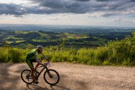 SamerbergerGams-1350708