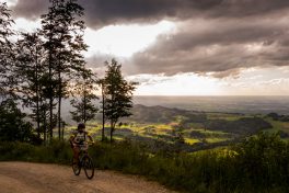 SamerbergerGams-1350725