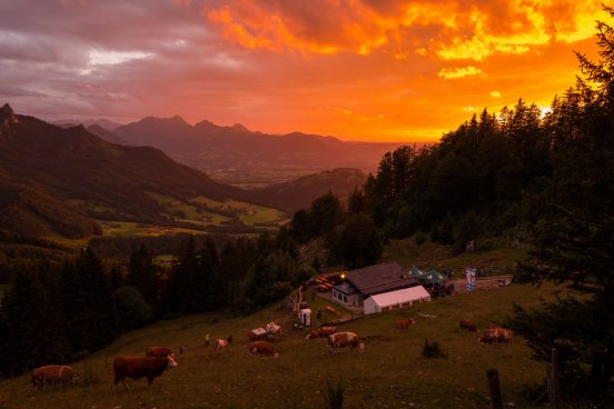 SamerbergerGams-1360002