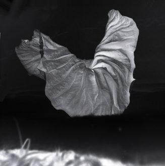 Antonella Gandini,Reale Instabile, Foto 2009 (c) Antonella Gandini