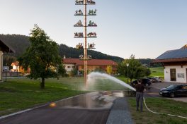 Maibaumbewaesserung-1430148